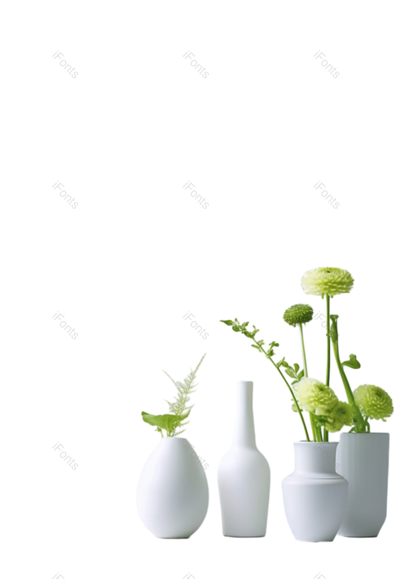 菊花图片,摄影元素,白色PNG,花盆免抠素材
